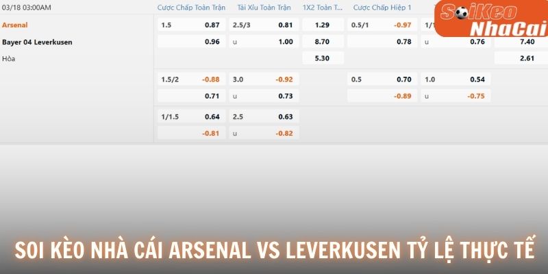 Soi kèo nhà cái Arsenal vs Bayer Leverkusen tỷ lệ thực tế