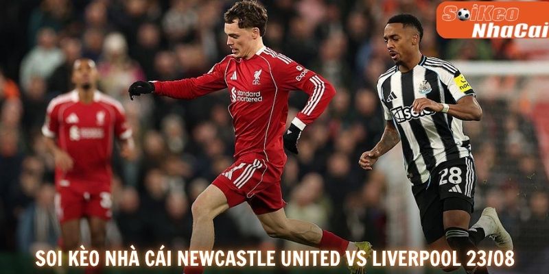 Soi kèo nhà cái Newcastle United vs Liverpool 23/08