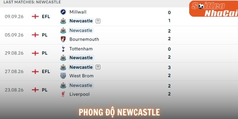 Newcastle United có lợi thế sân nhà và đang duy trì phong độ ổn định