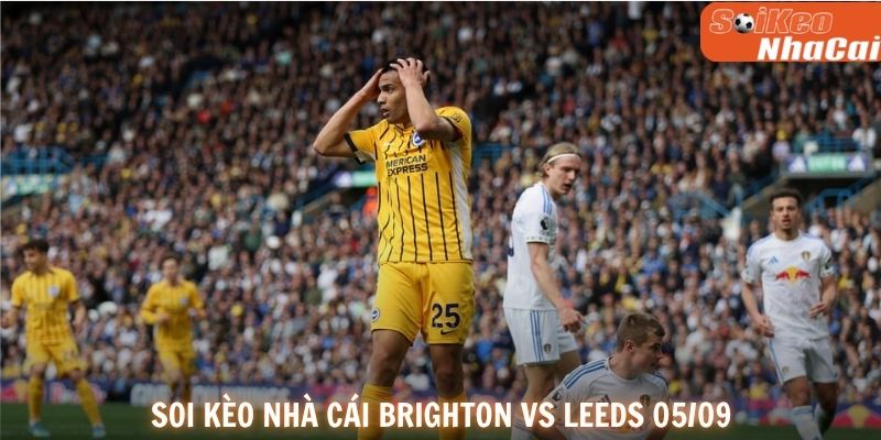 Soi kèo nhà cái Brighton vs Leeds United 05/09