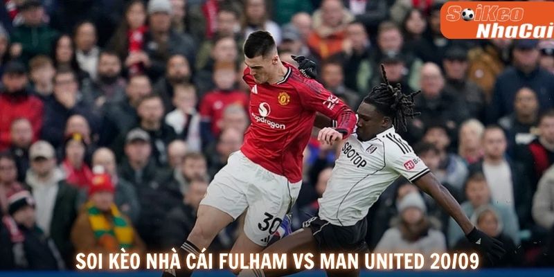 Manchester United được kỳ vọng giành trọn 3 điểm tại Craven Cottage