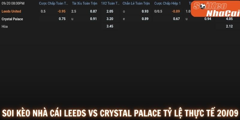 Soi kèo nhà cái Leeds United vs Crystal Palace tỷ lệ thực tế